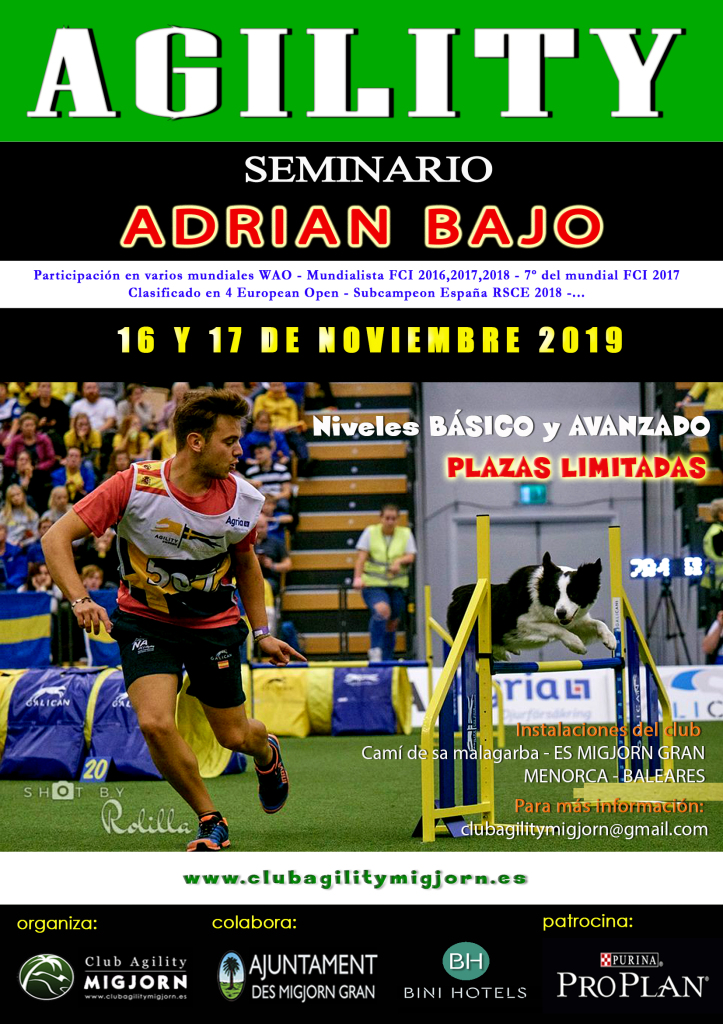 Cartel SEMINARIO ADRIAN BAJO - NOVIEMBRE 2019