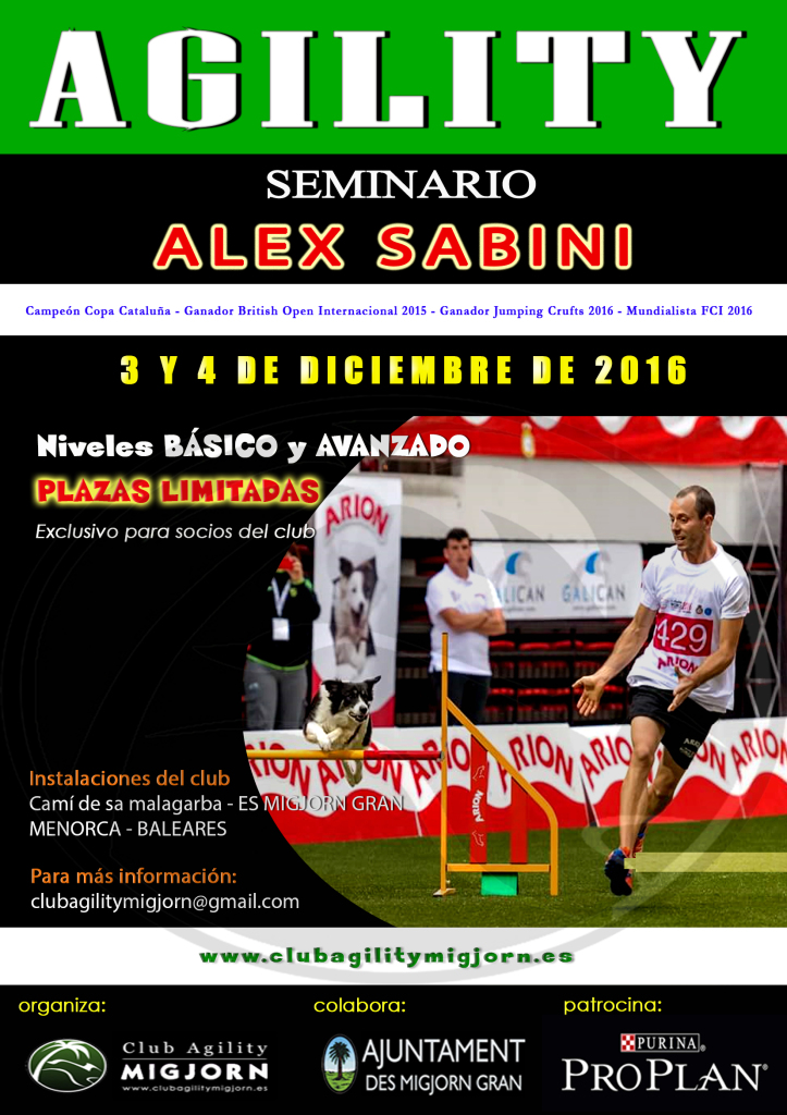 cartel-seminario-alex-sabini-2016