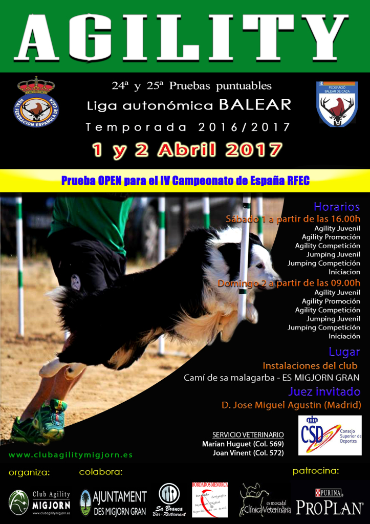 Cartel prueba RFEC MIGJORN Abril 2017