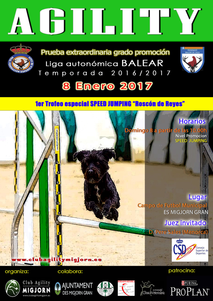 cartel-prueba-extra-promocion-rfec-migjorn-enero-2017