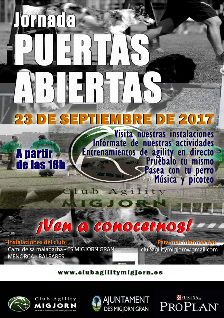 Puertas abiertas 2017